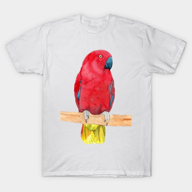 eclectus parrot watercolor red T-Shirt by Oranjade0122